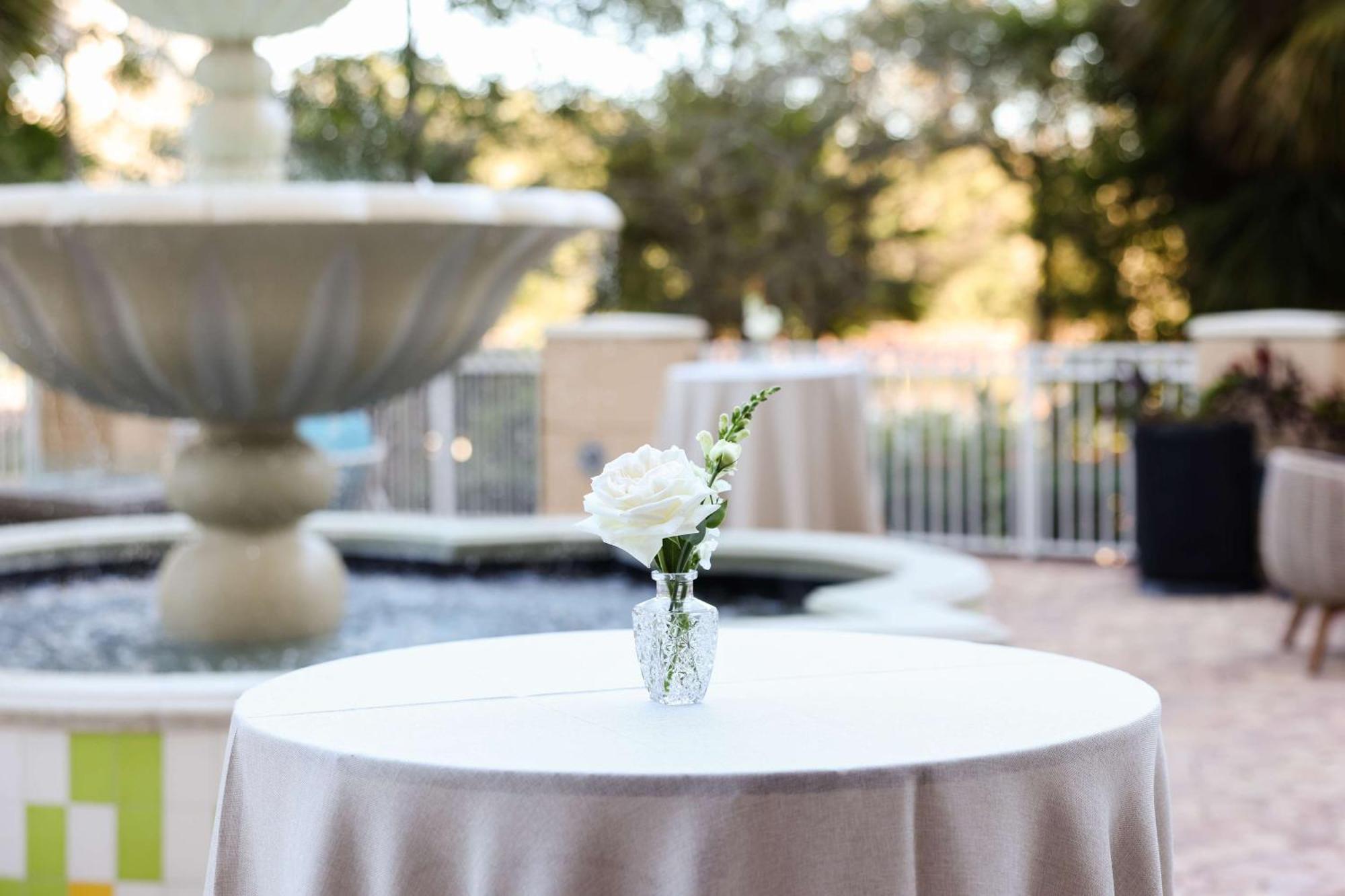 Hilton St. Petersburg Carillon Park Hotel Bagian luar foto